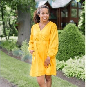 J. Crew V-neck mini dress with trim